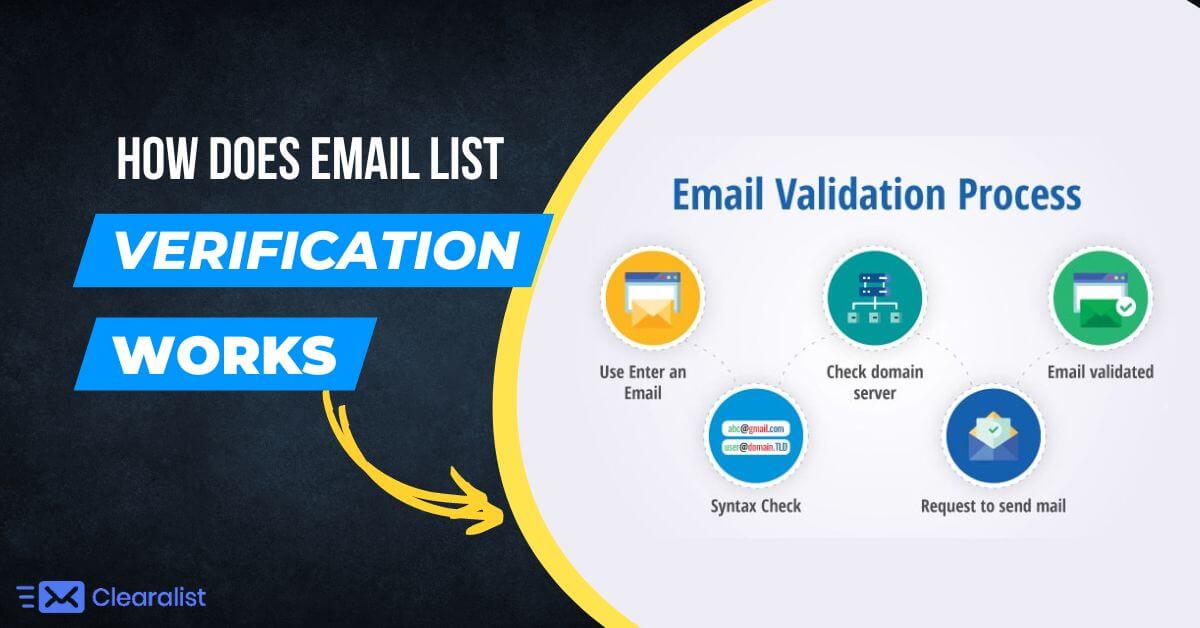 how does email list verification works